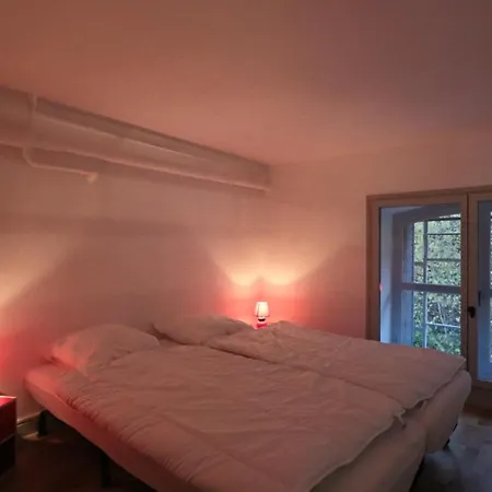 Le Miami - Guillaume Lacoste Apartment La Bourboule